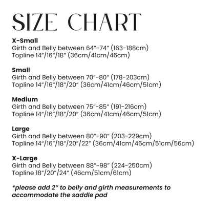 Adult Equine Hernia and Post-Surgical Pressure Belt